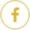 facebook 60 circle yellow