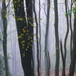 Dorking Trees for Life